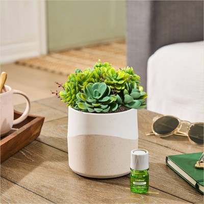 Modern White and Beige Electric Succulent Diffuser