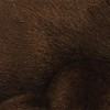 Aurora® Mini Flopsie™ California Sea Lion™ 8 Inch Stuffed Animal Plush - 3 of 3