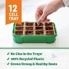 Back to the Roots Organic & Plantable Greenhouse Germination Kit  12 Cell - 3 of 4