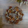 Northlight 14" Pine Cones Berries and Botanicals Artificial Christmas Wreath - Unlit - 2 of 3