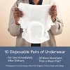 LOLA Postpartum Underwear with Organic Cotton Maxi Pad - 10ct - 4 of 4