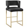 Best Master Furniture,Lynx Black Velvet Bar Stools (Set of 2) - 2 of 3