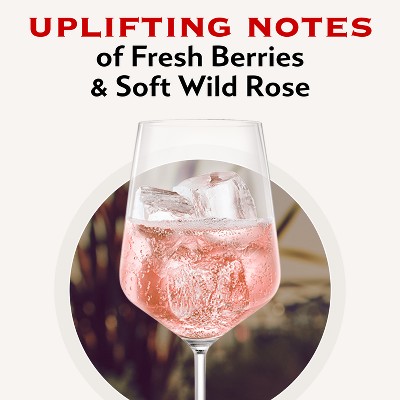 Martini & Rossi Sparkling Rosé Wine - 750ml Bottle