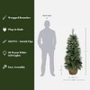 LuxenHome 4-Ft Pre-Lit Christmas Tree with 50 LED Lights, Glittered Branches & Woven Base Green - 4 of 4