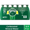 Perrier Carbonated Mineral Water Plastic Bottles, Original - 16.9 Fl Oz (pack Of 24) - 2 of 3