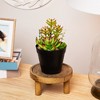 Northlight 8" Mixed Succulent Artificial Plant Arrangement in Pot - Green/Red - 2 of 4