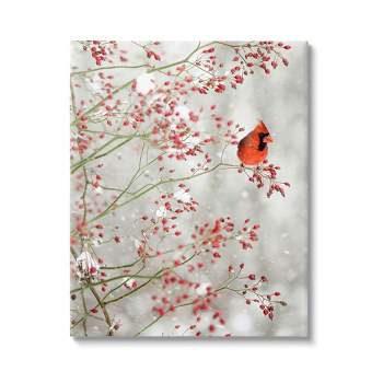 Stupell Industries Cardinal Seasonal Holly Berries Canvas Wall Art