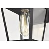 Nuvo Lighting Jasper 1 - Light Lantern in  Matte Black - 3 of 4