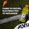Gatorade, Variety Pack - 20 Fl Oz Bottle (Pack of 12) - 3 of 4