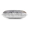 Stupell Industries Languid Tiger in Opulent Space Indoor Decorative Throw Pillow, 14 x 20 - 2 of 3