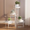Indoor Metal Tiered Plant Stands, Folding Flower Display Holders Rack Shelf for Corner, Porch, Garden, Balcony, Living Room - 2 of 4