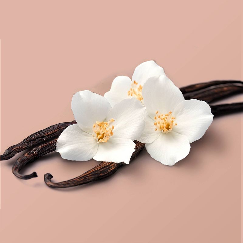 Beloved Coconut &#38; Warm Vanilla Hand Cream Lotion - 1oz, 6 of 12
