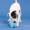 PetShop by Fringe Studio Out Of The Blue Dog Plush Toy - 3 of 4