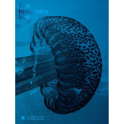 The Imaginary Sea - (Hardcover)