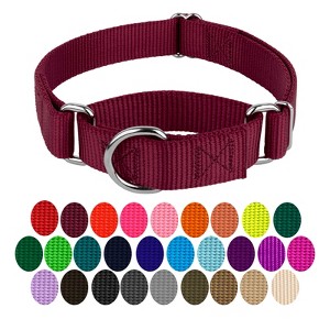 Country Brook Petz Martingale Heavyduty Training Collar with No Buckle - Service Collar for All Dogs - Vibrant, Colorful Collection - 1 of 4
