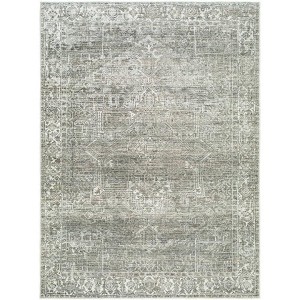 Livabliss Collins Avenue Woven Indoor Area Rugs - Galey Alix x Livabliss - 1 of 4