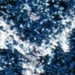 blue/black
