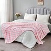 Pink Checkered Blanket, Ultra Soft Fleece Throw for Couch, Bed, Travel, 50x60 Inch - 2 of 4