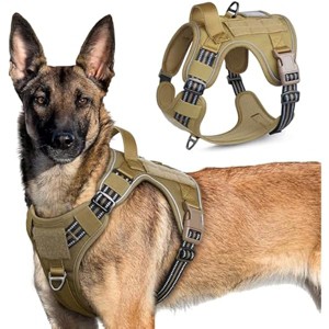rabbitgoo Dog Harness No Pull with 2 Leash Clips, Adjustable Soft Padded, Reflective Oxford No Choke Pet Vest with Easy  Dogs, Blue, S - 1 of 1