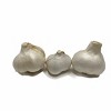 Morel Distribution Co | Elephant Garlic (Ajo Elefante) Sorted Bulbs! Great for Fall Planting! Different Sizes! (1 LB) - 2 of 4