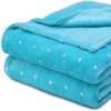 HomeRoots Twin Light Blue And Silver Fleece Woven Polka Dots Plush Blanket - 4 of 4