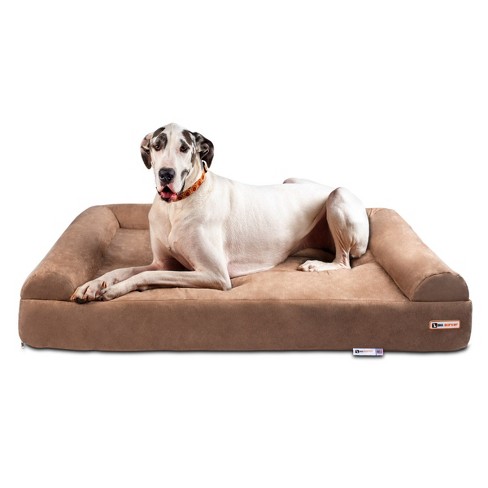 The big barker outlet dog bed