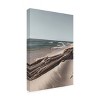 Trademark Fine Art - Incado Ocean Beach Driftwood Canvas Art - 4 of 4
