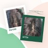 Temporary Hair Touch-Up Light Chestnut by Herbatint  -  10 ml Bag - 3 of 4