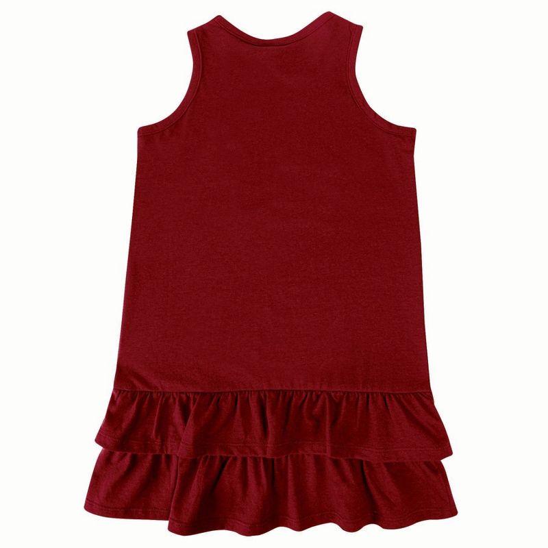 NCAA South Carolina Gamecocks Toddler Girls&#39; Ruffle Dress, 2 of 4
