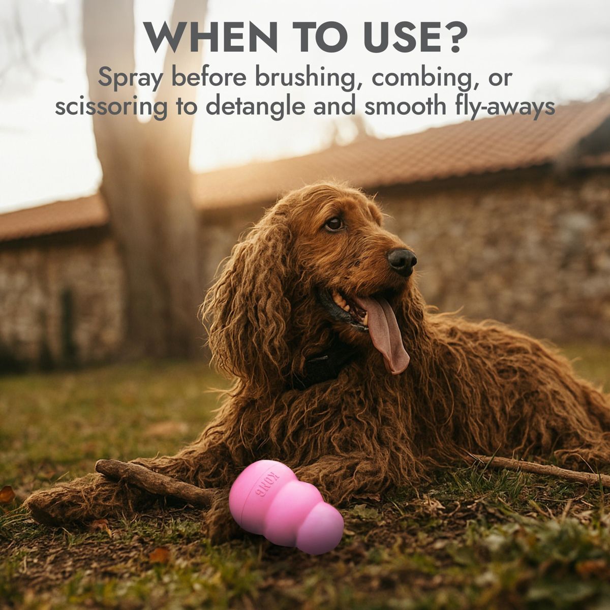 KONG Detangler Spray Fruit and Cucumber Scented Dog Conditioner - 16 fl oz - thumbnail 3