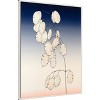 Amanti Art Money Plant II by Michael Willett Framed Canvas Wall Art - 3 of 4