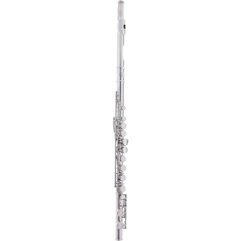 Allora AFL-250 Student Series Flute Offset G C-Foot, 2 of 7