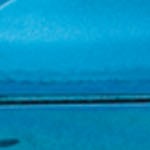 metallic blue moonjelly