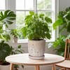Wooakway 7" Dia Outdoor Indoor Ceramic Planter Pot Decorative Planter with Drainage Hole Patio Flower Pot - 2 of 4