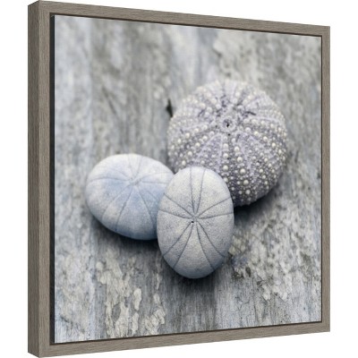 Gray and White Seashell Canvas Wall Art Print