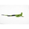 Collectible Wildlife Gifts | Iguana, Lizard, Rubber Reptile, Toy, Educational, Realistic,  Model,   Gift,      4 1/2"    F1673 B63 - 4 of 4