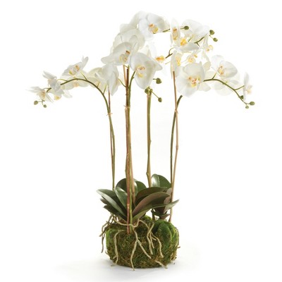 Plum & Post Phalaenopsis Orchid Faux (Fake) Bowl Drop-In 25"