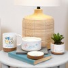 Pavilion Gift Company - Blessed - 5" Artificial Potted Plant - Artificial Plants - 3 of 4