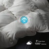 Premium Feathers Down Duvet Insert, Queen Size, Medium Warmth, White 100 Cotton Cover with Corner Tabs 90x90, 50 oz - 3 of 4