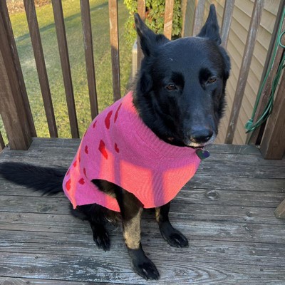 Smiley Face Dog Graphic Sweatshirt - Xl - Boots & Barkley™ : Target