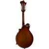 Kentucky KM-858 Artist F-Style Mandolin Gold - 2 of 4