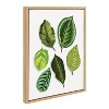 Kate and Laurel Sylvie Leaves Study Framed Canvas by Maria Filar, 18x24, Natural - 2 of 4