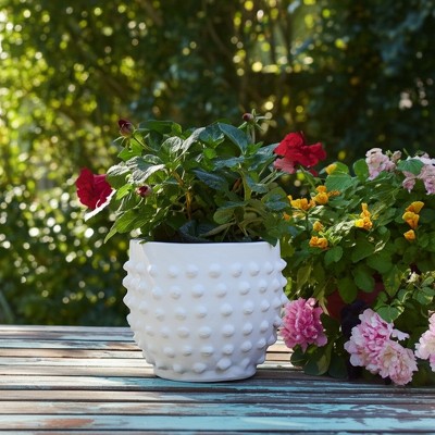 Planter Terracotta Raised Dot Texture for Home or Garden Use - 6" White