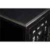Cassandra 63" TV Stand Antique Black - Martin Svensson Home - 4 of 4