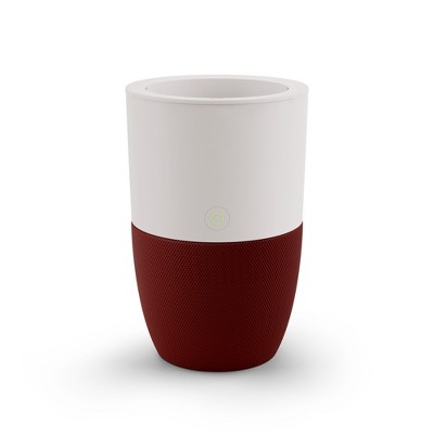 Dupray Bloom Air Purifier | Medical-Grade HEPA-13 Air Filtration