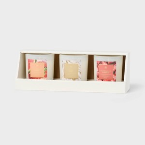 3pk Giftset Strawberry Hibiscus/Vanilla Spell/Berry Lemonade and