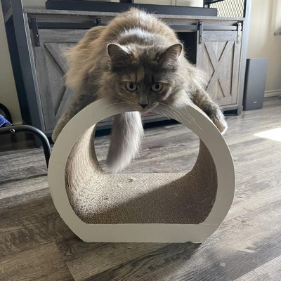 Tunnel Cat Scratcher - Boots & Barkley™ : Target