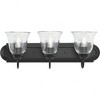 Progress Lighting, Calhoun Collection, 3-Light Vanity Light, Matte Black, Clear Glass, Material: Steel - 2 of 4