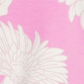 irish rose daisies