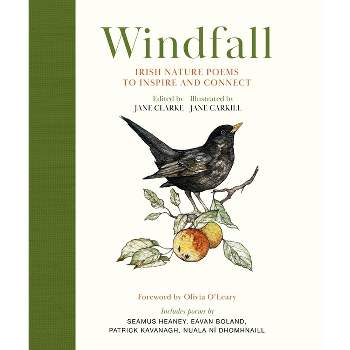 Windfall - by  Jane Clarke (Hardcover)